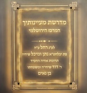לוח תורם שקוף מואר