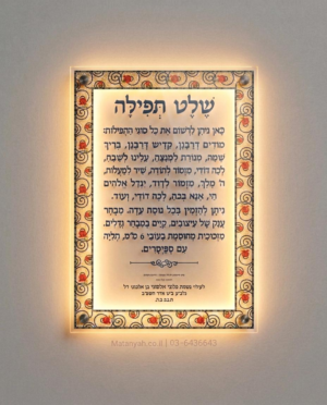 שלט זכוכית פסיפס מואר