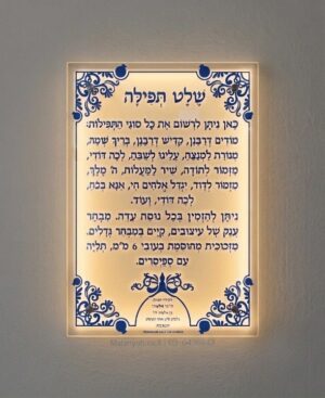 שלט זכוכית עיטורים ורימונים מואר
