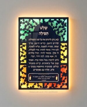 שלט זכוכית ענפי ויטראז מואר
